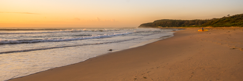 Shelly Beach, NSW