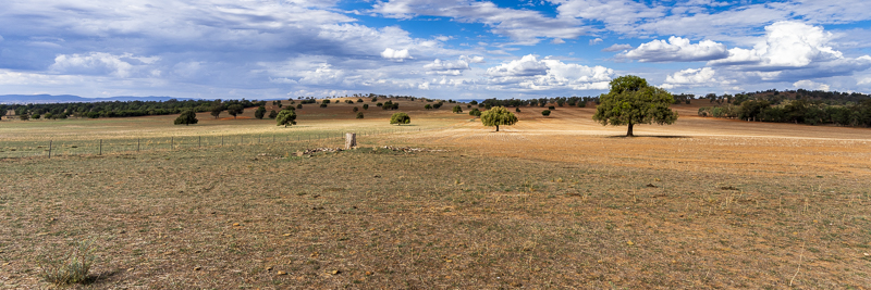 Parkes, NSW