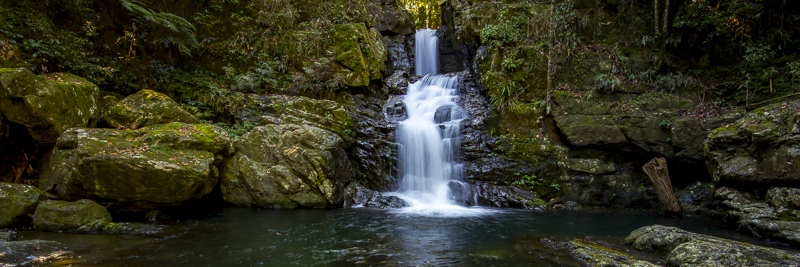 Never Never Falls, Dorrigo, NSW