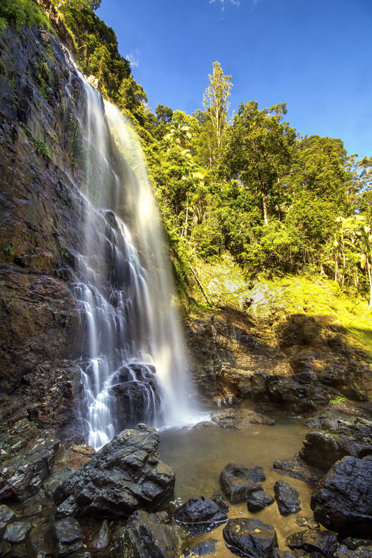 Red Cedar Falls, Dorrigo, NSW