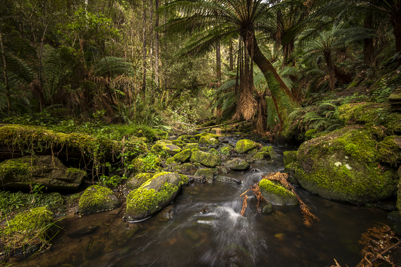 Erskine Falls, VIC