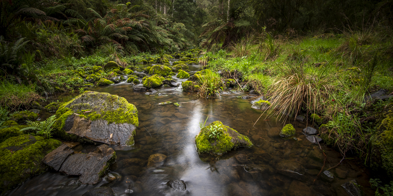 Lake Elizabeth, VIC