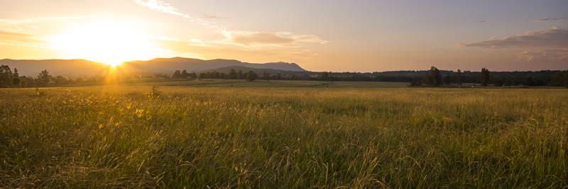 Hunter Valley, NSW