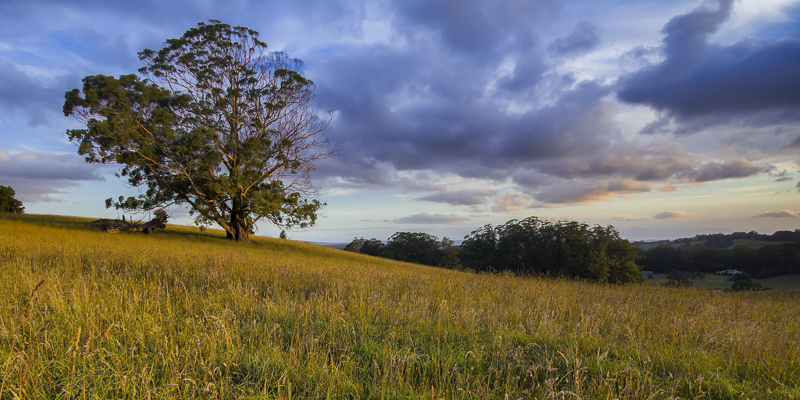 Illawarra Region, NSW